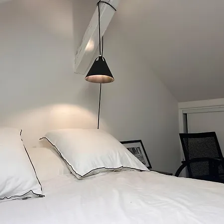 Lumineux Pres De La Avec Wifi, En Plein Centre-ville De - Fr-1-239-875 Apartment Saint-Jean-de-Luz