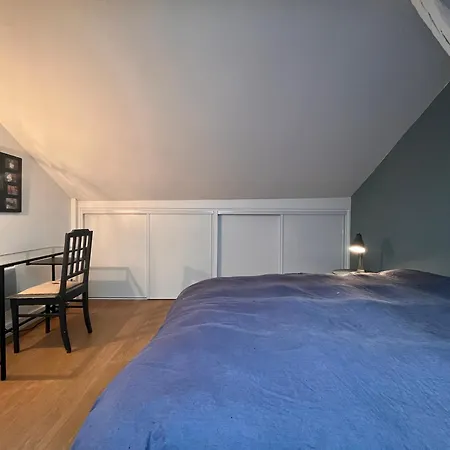 Lumineux Pres De La Avec Wifi, En Plein Centre-ville De - Fr-1-239-875 Apartment Saint-Jean-de-Luz